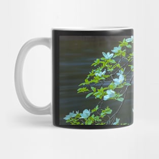 Dogwood Blossoms Mug